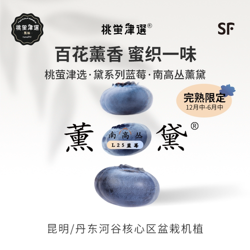 限定品种！薰黛L25蓝莓礼盒装