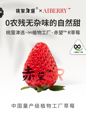桃萤津选 赤望「R」草莓 AIberry联名 O农残 4D垂直农场产 礼盒SF