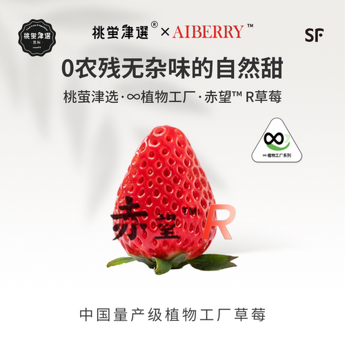 4D垂直农场技术！赤望「R」草莓