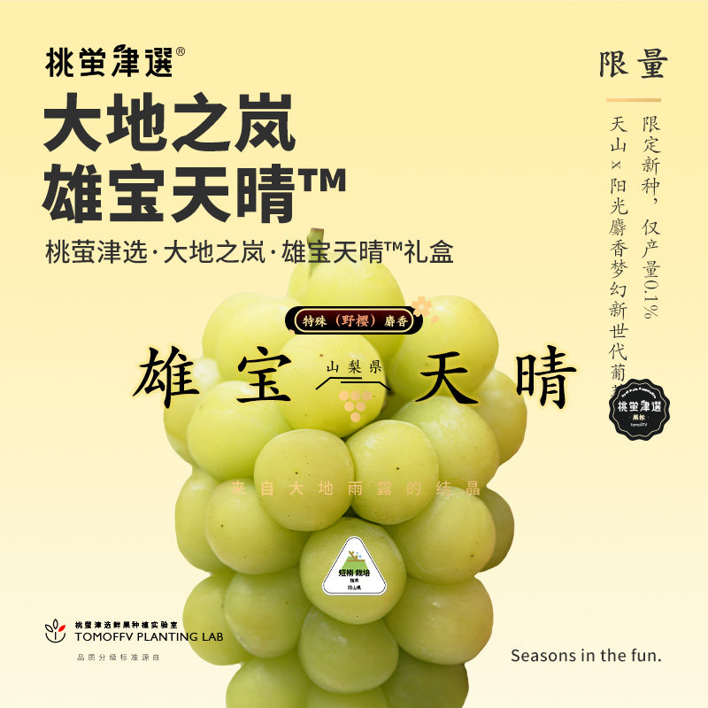 限！桃萤津选「大地之岚」雄宝天晴™ 特殊麝香山梨梦幻葡萄 礼盒