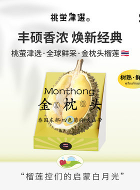 四色菊府火山金枕！aa果礼盒装