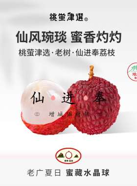 桃萤津选 仙进奉荔枝 增城仙村老树产 特级果干包礼盒装 SF空运