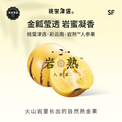 火山岩培育！岩熟™人参果礼盒装