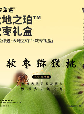 单果可达45g！大地之珀-果王软枣