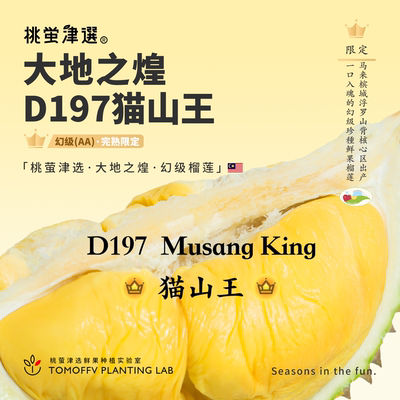 AA级鲜果猫山王！空运劳勿D197