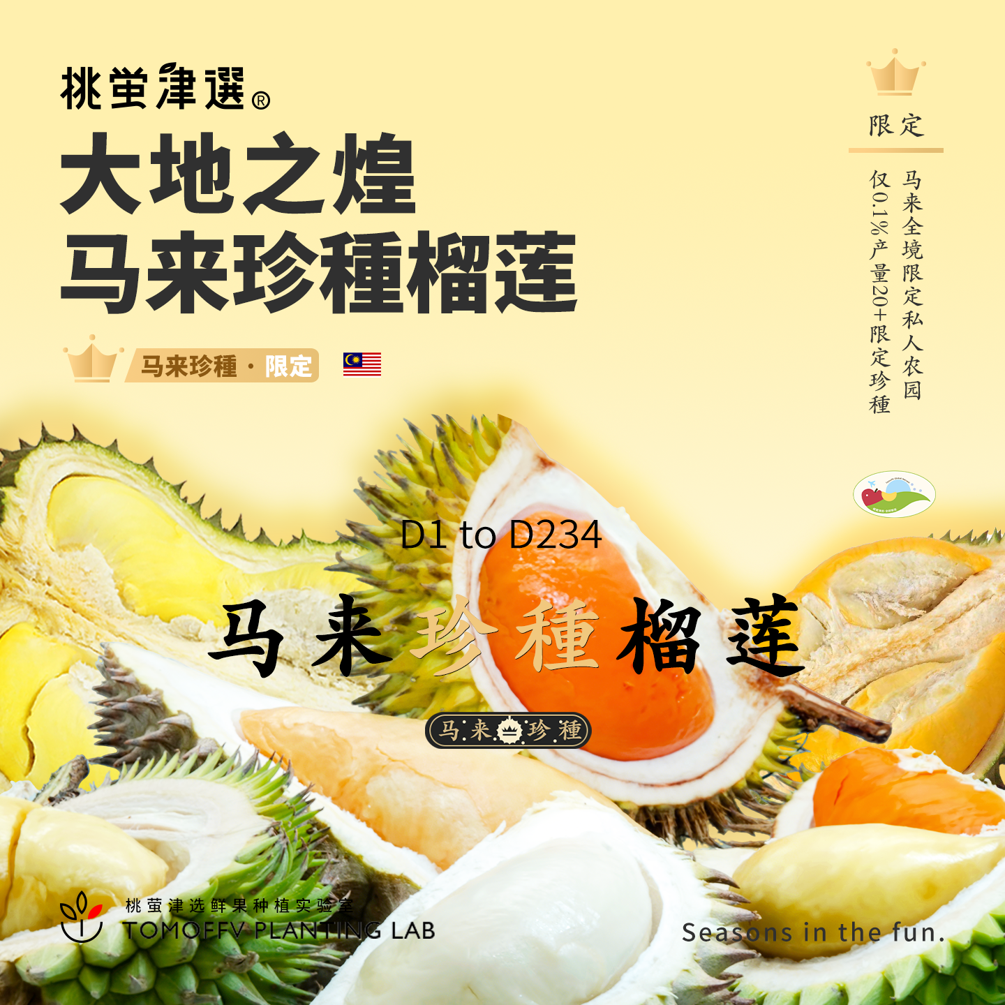 桃萤津选「大地之煌·珍种」马来榴莲 D2/XO/Capri 20+限定小品种