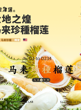桃萤津选「大地之煌·珍种」马来榴莲 D2/XO/Capri 20+限定小品种