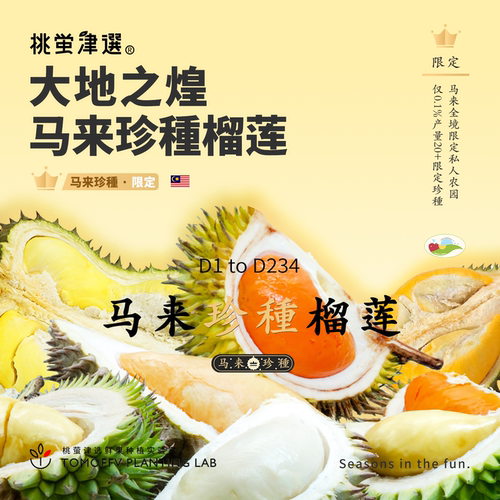 超珍种！马来20+小品种鲜果榴莲