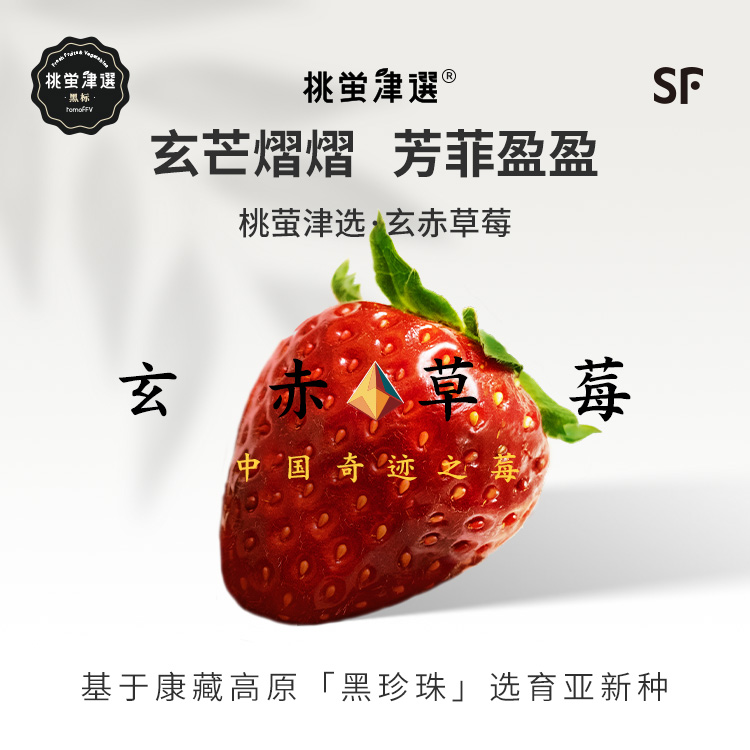 寒熟限定！玄赤黑草莓礼盒装