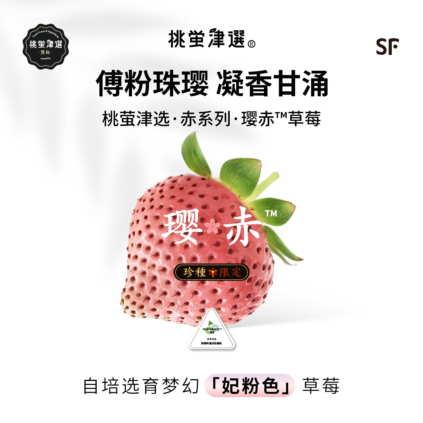 日引梦幻种！璎赤™草莓礼盒装