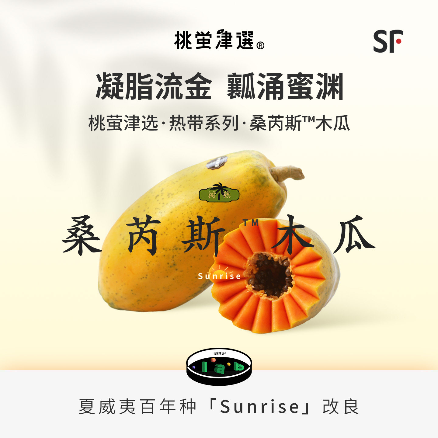 桃萤津选 桑芮斯™木瓜 红心冰糖甜 240天树上熟 三亚产 礼盒 SF