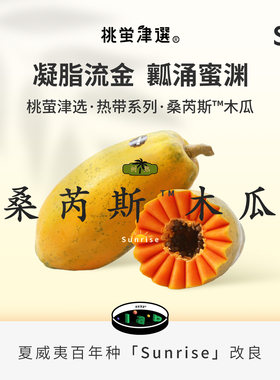 240天自然熟！桑芮斯™木瓜礼盒