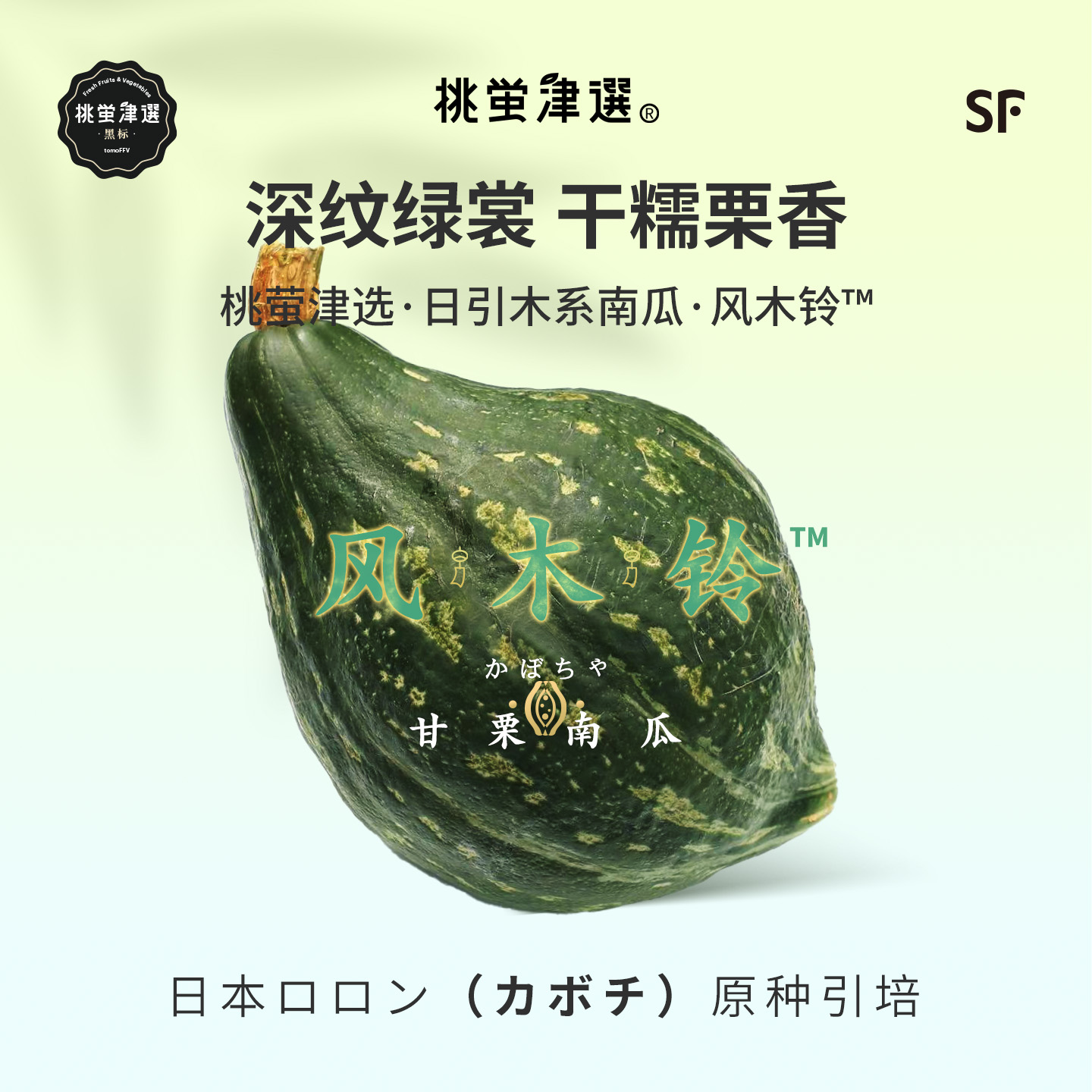 稀！桃萤津选 风木铃™南瓜 日引梦幻新种非贝贝 致蜜粉糯 礼盒SF