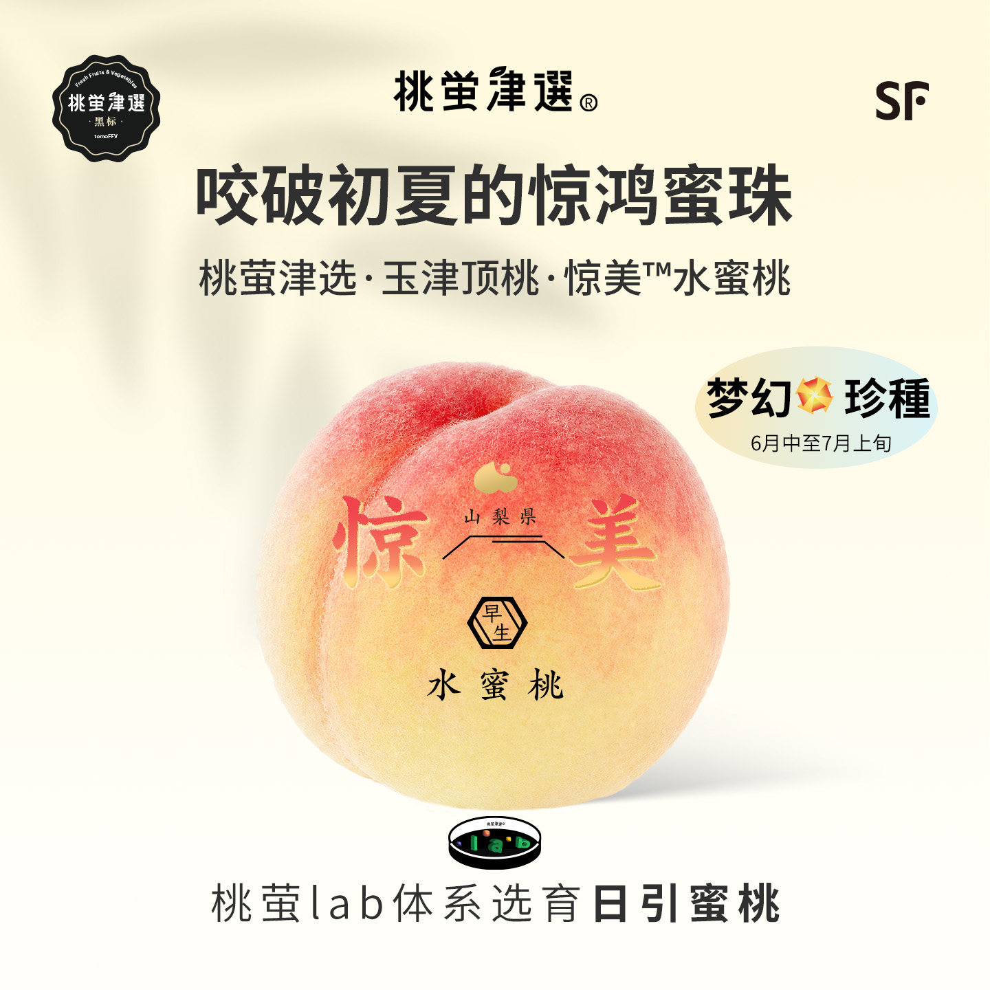 稀！桃萤津选 惊美水蜜桃 山梨引种早生梦幻蜜桃 玉津顶桃 礼盒SF