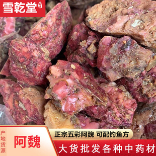 正品 中药材阿魏新疆五彩臭阿魏钓鱼专用钓鱼中草药泡酒料