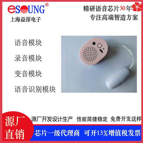 语音识别模块 成人用品语音识别模块  智能发音情趣机芯ES-1019