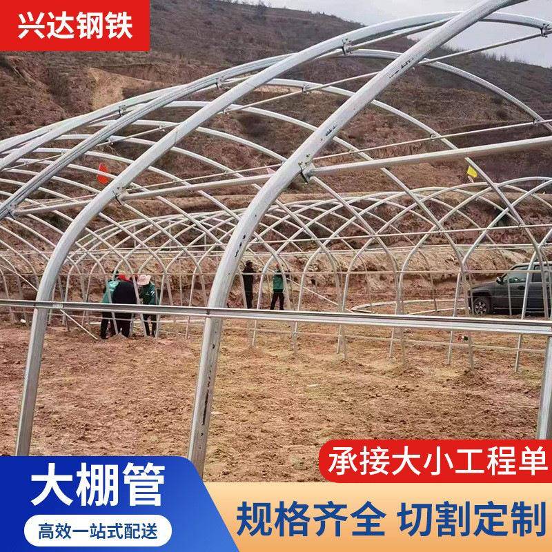农业温室大棚骨架镀锌大棚管拱形抗压力椭圆大棚管量大优惠