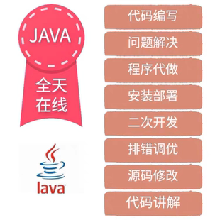 java问题解决代码调试bug修复程序扩展二次开发代做源码讲解部署