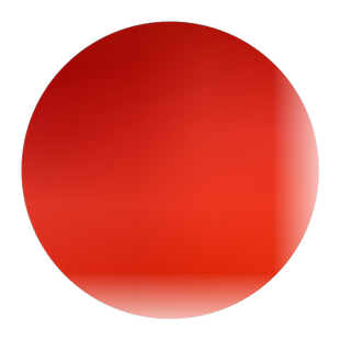 美国红枫红枫树苗红舞姬日本红枫风景树苗正宗三季红中国红枫小苗