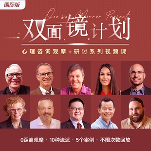 个案观摩·双面镜计划国际版 心理咨询入门培训