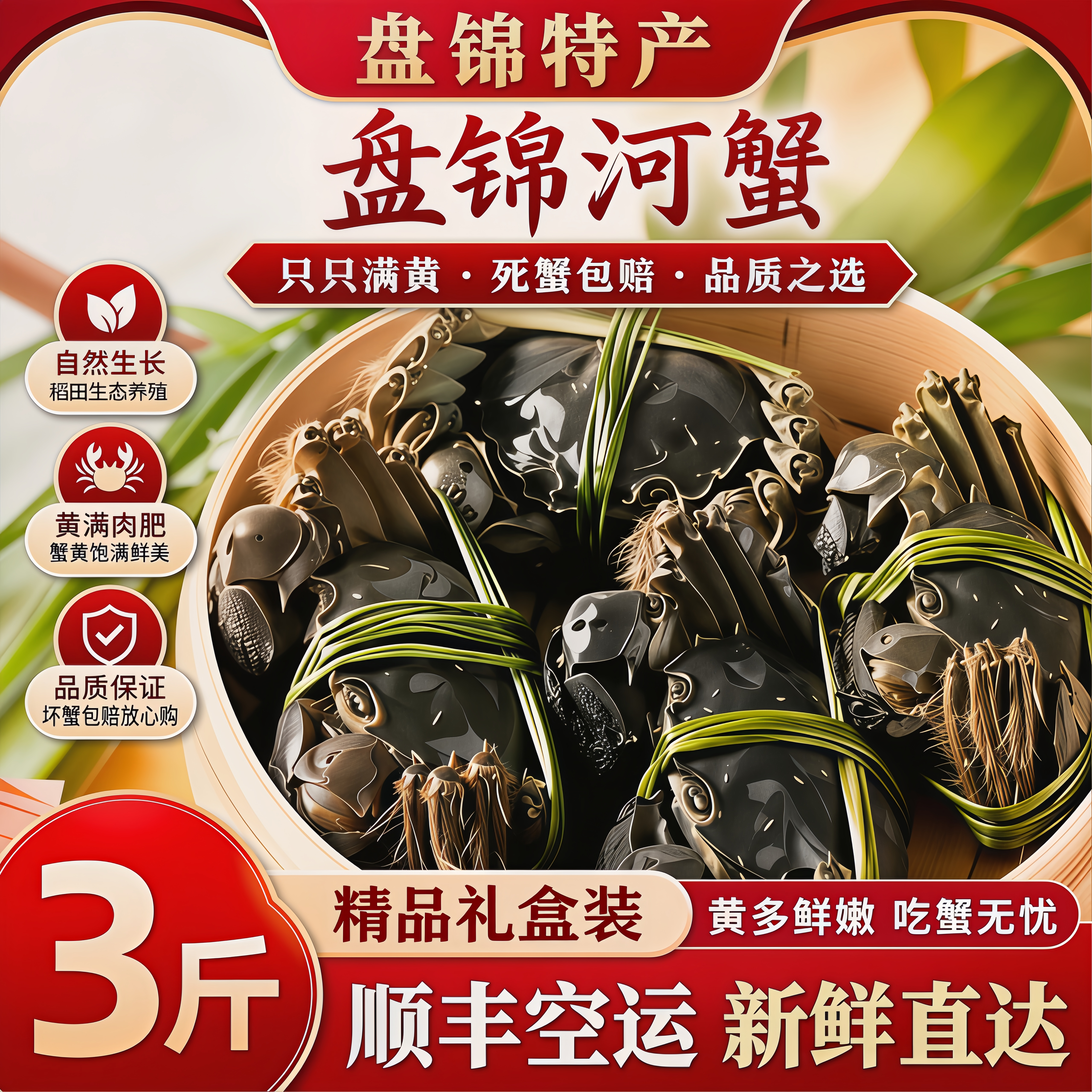 盘锦鲜活绒螯蟹稻田公大闸蟹
