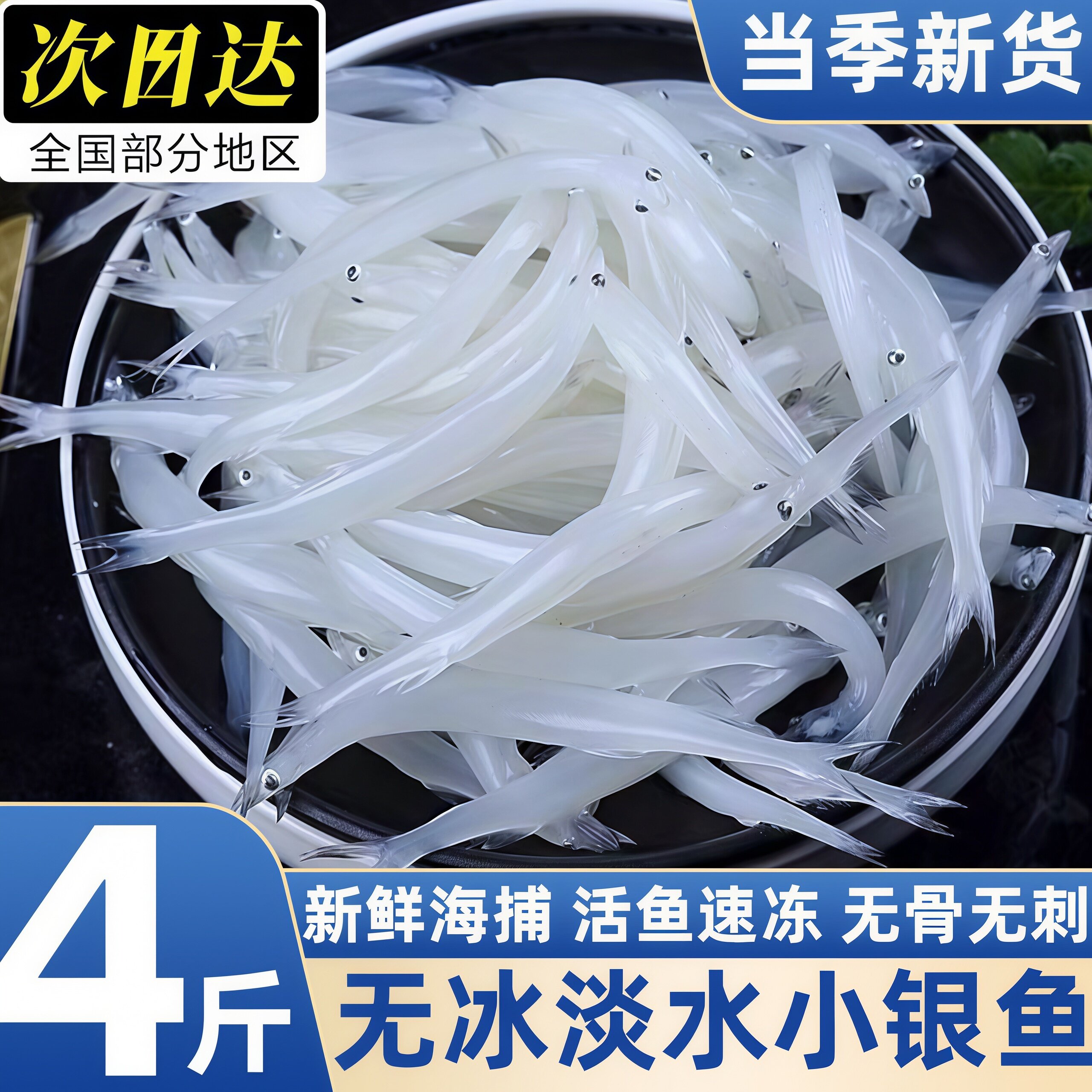 新鲜冷冻无冰大号淡水小银鱼