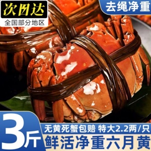 盘锦稻田活母公任选大闸蟹礼盒