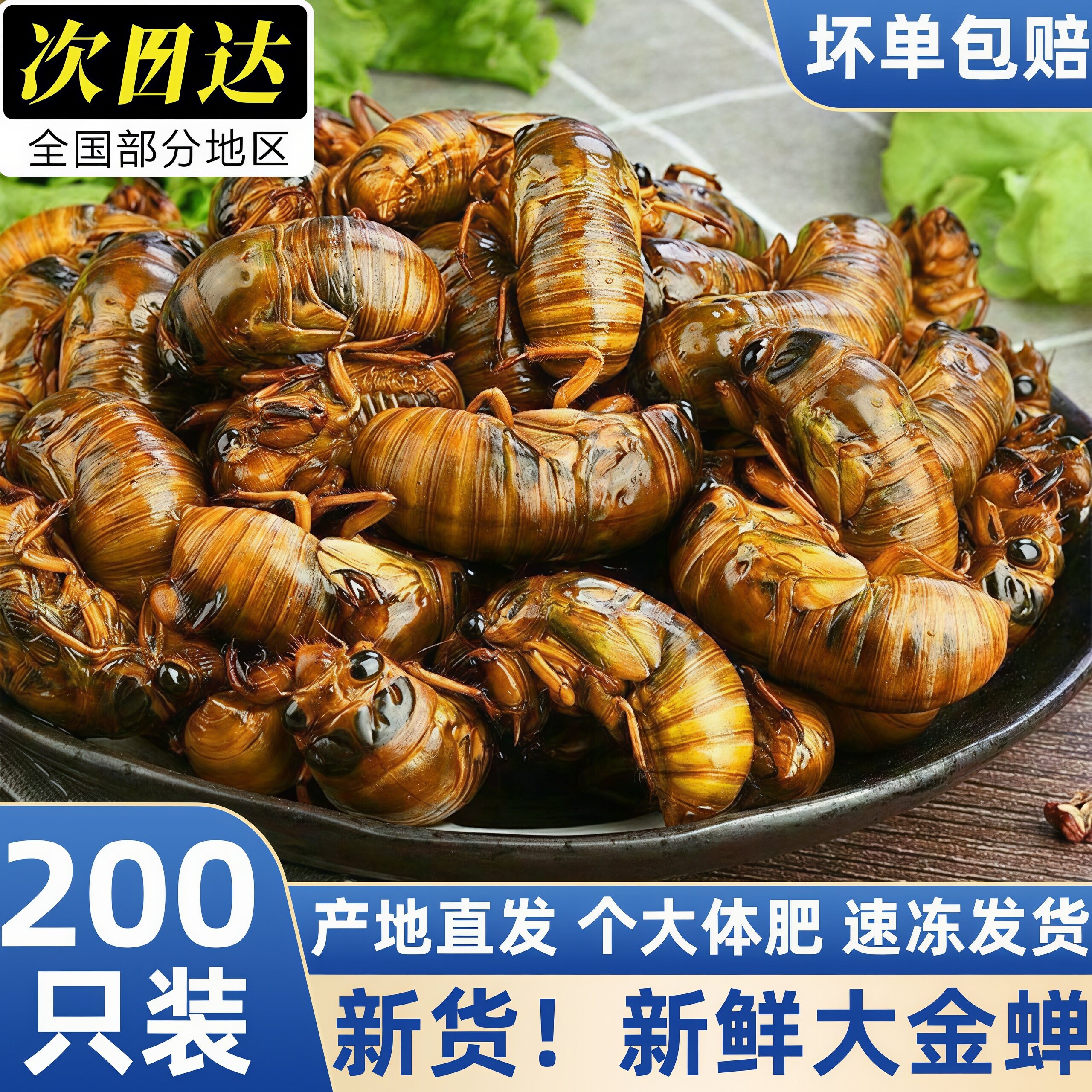 知了猴金蝉鲜活速冻商用