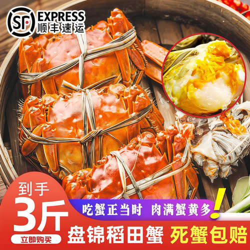 盘锦稻田鲜活大闸蟹礼盒