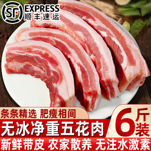 新鲜现杀农家上腹长条五花肉条散养猪肉猪腹肉新鲜厚切带皮无淤血