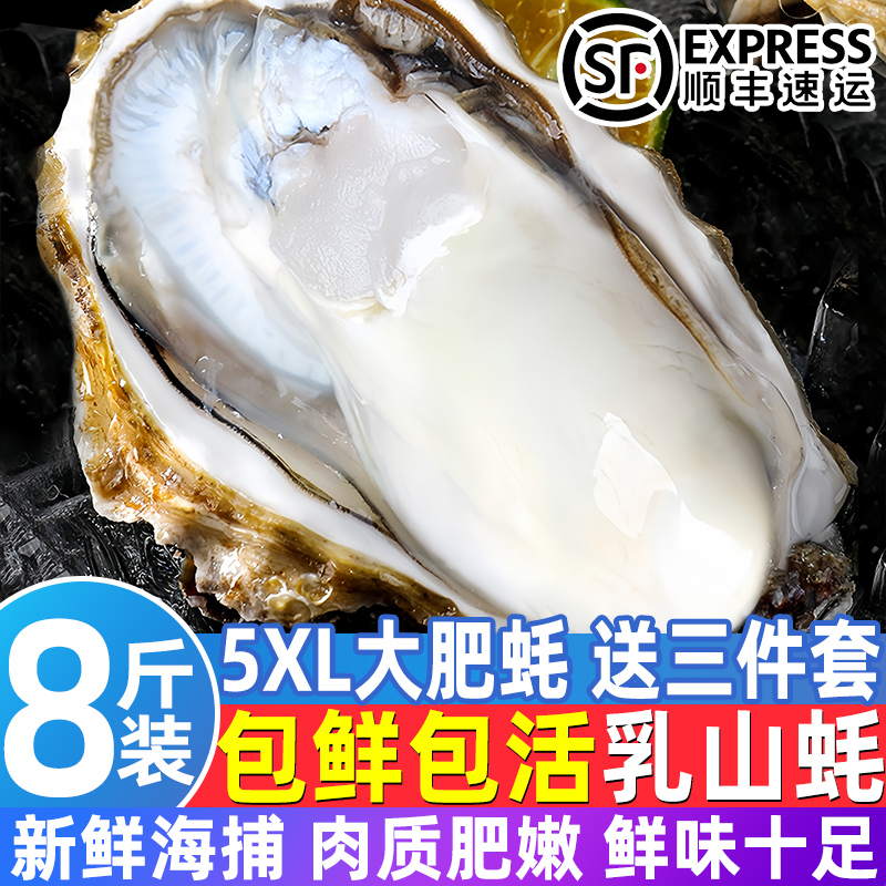正宗乳山生蚝鲜活整箱批发特大海蛎子牡蛎新鲜活生蚝刺身商用生鲜