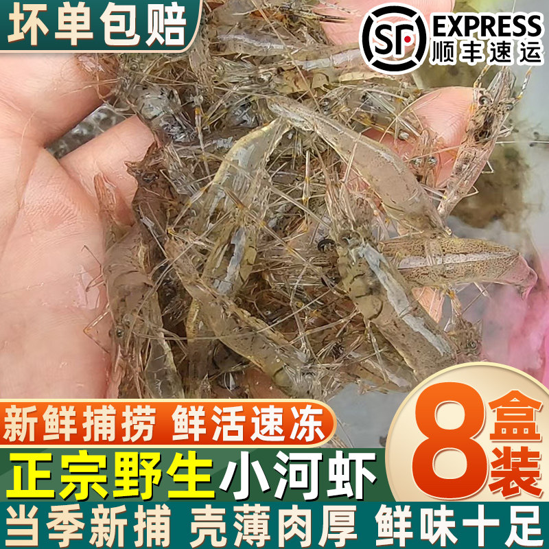 正宗新鲜淡水小河虾鲜活速冻水产冷冻野生河虾湖虾小草虾小明虾子