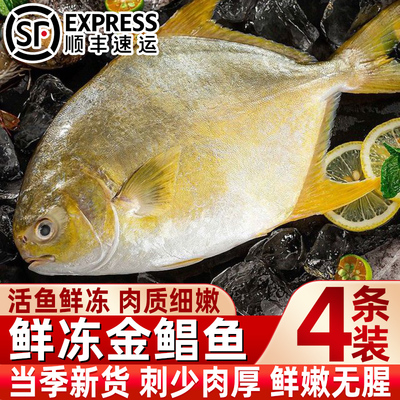 深海金鲳鱼新鲜冷冻大号