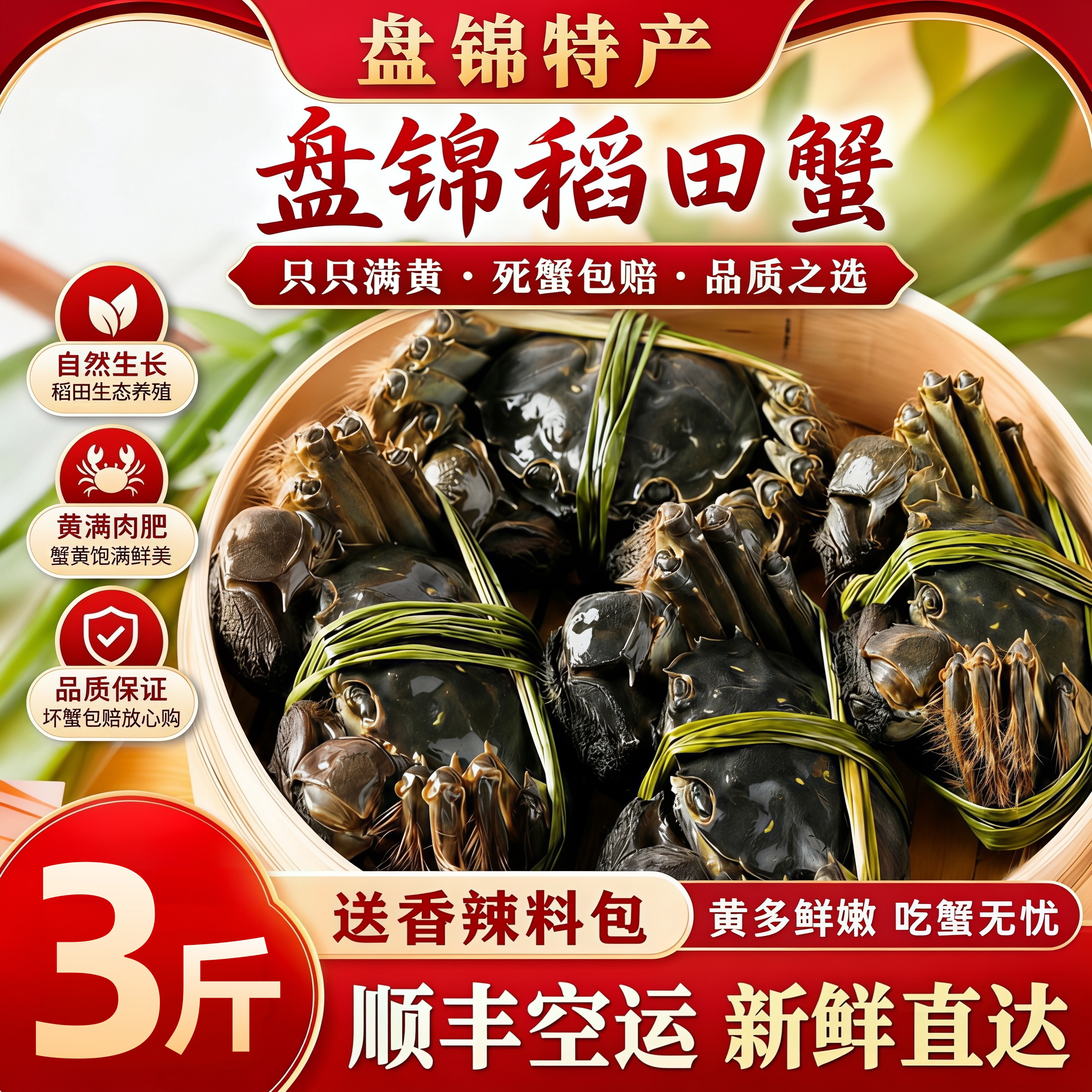 盘锦鲜活绒螯蟹稻田公大闸蟹