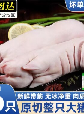 速冻带筋散养猪蹄商用批发