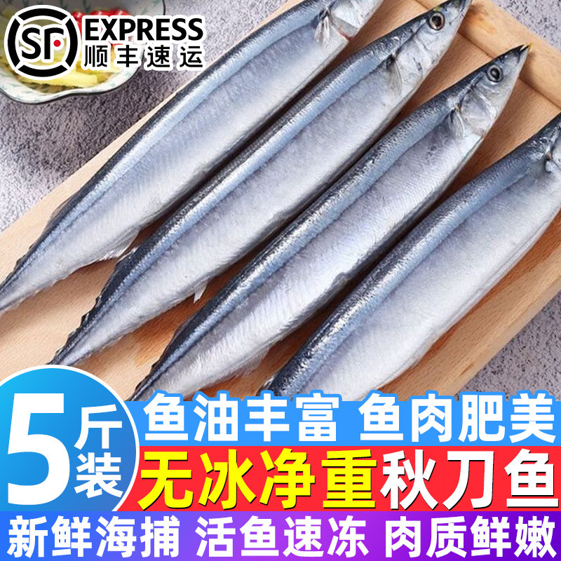 秋刀鱼新鲜大号海捕野生深海鱼日式鲜活冷冻海鲜烧烤整箱食材批发