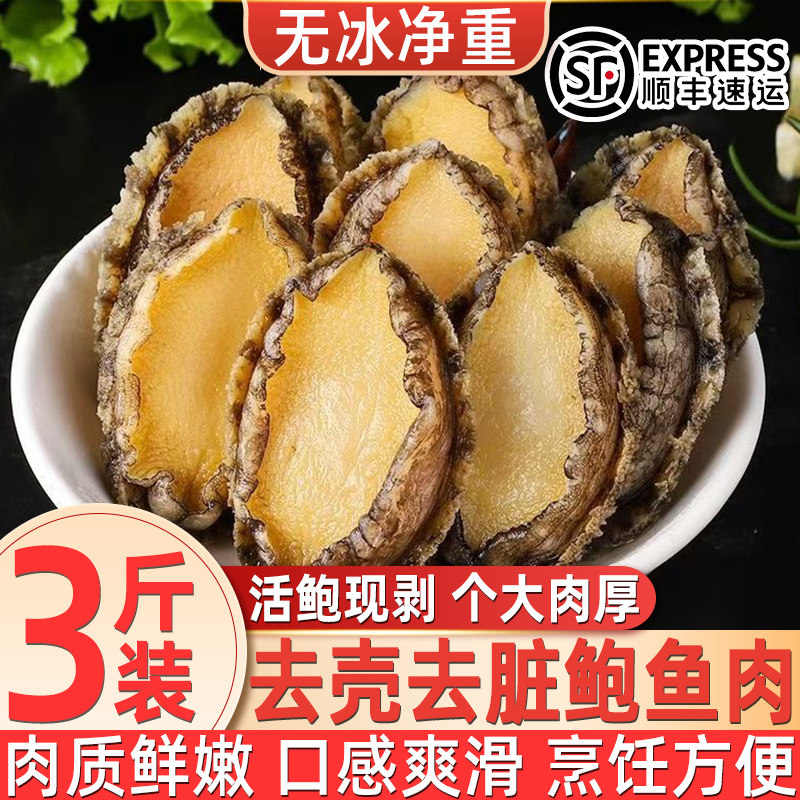 新鲜鲍鱼肉商用冷冻新鲜纯肉鲍鱼速冻鲍鱼真空纯肉冷冻鲍鱼带料包