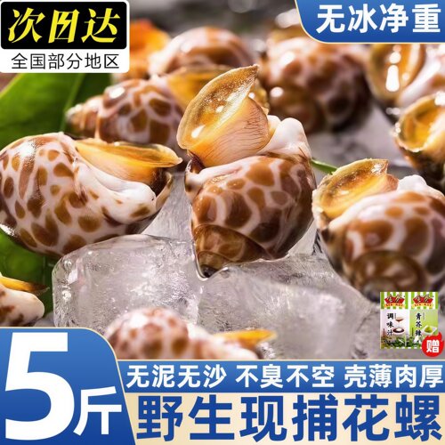 活冻深沟东风螺花螺贝壳海鲜