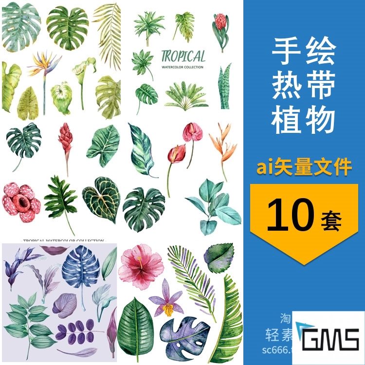 手绘水彩热带植物树叶花卉花朵装饰元素插画ai矢量设计素材图片
