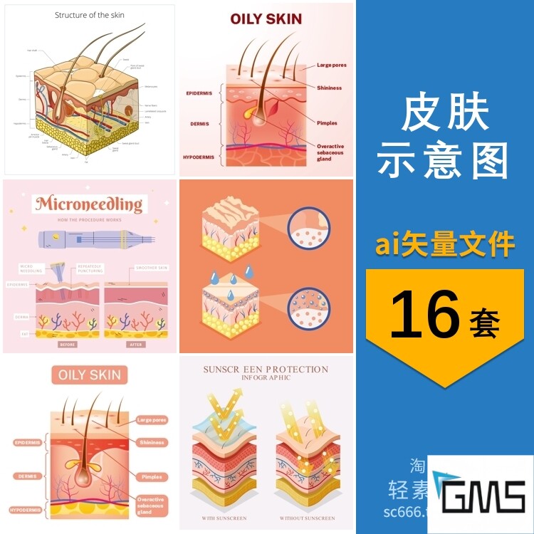 手绘皮肤结构分层解剖横截面肤质护肤示意图插画ai矢量设计素材