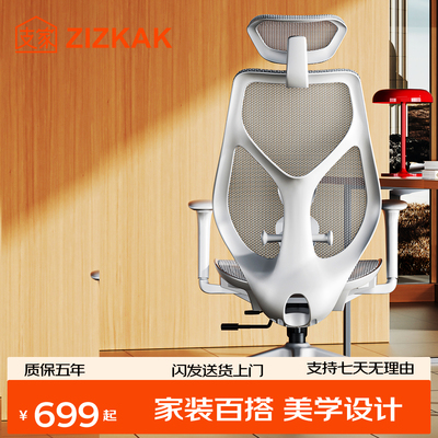 支家B38人体工学椅撑腰工学椅