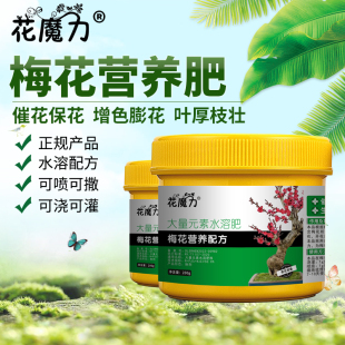 梅花专用肥腊梅红梅美人梅素心梅朱砂梅玉蝶梅花梅虎蹄梅营养肥料