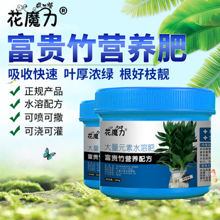 富贵竹盆栽专用营养肥竹子万寿竹距花开运竹富贵塔水培盆景生根肥