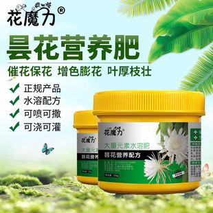 昙花专用肥琼花昙华鬼仔花韦陀花月下美人月来卷叶小叶昙花水溶肥