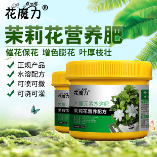 茉莉花专用肥香魂莫利花没丽没利抹厉末莉末利木梨花水溶功能肥料
