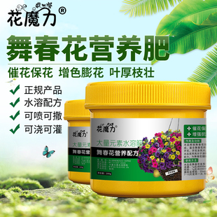 舞春花专用营养肥小花矮牵牛百万小铃海滨矮牵牛地栽盆栽四季催花
