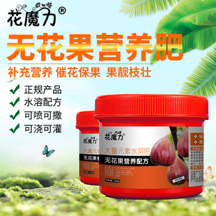 无花果专用肥盆栽肥阳台紫果树阿驵阿驿映日果优昙钵蜜果水溶肥料