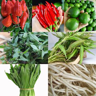 云南特产傣味香料组合柠檬撒撇原料新鲜香菜柠檬小米辣酸鱼料