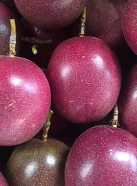 云南德宏特产紫色百香果西番莲紫香醇酸甜果新鲜现摘