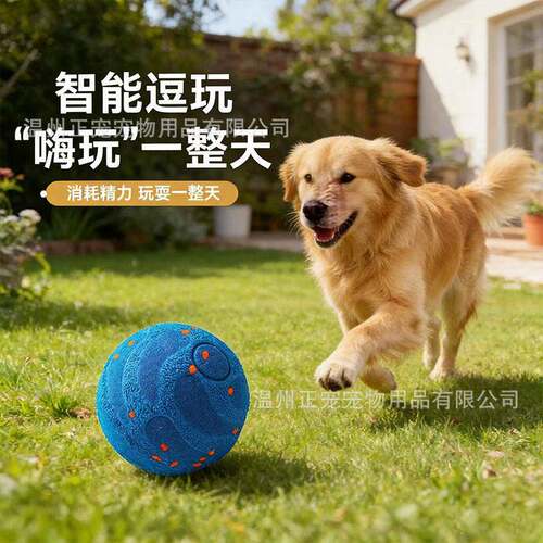 宠物玩具电动狗球etpu回弹跳跳球耐咬磨牙狗球狗狗玩具宠物用品
